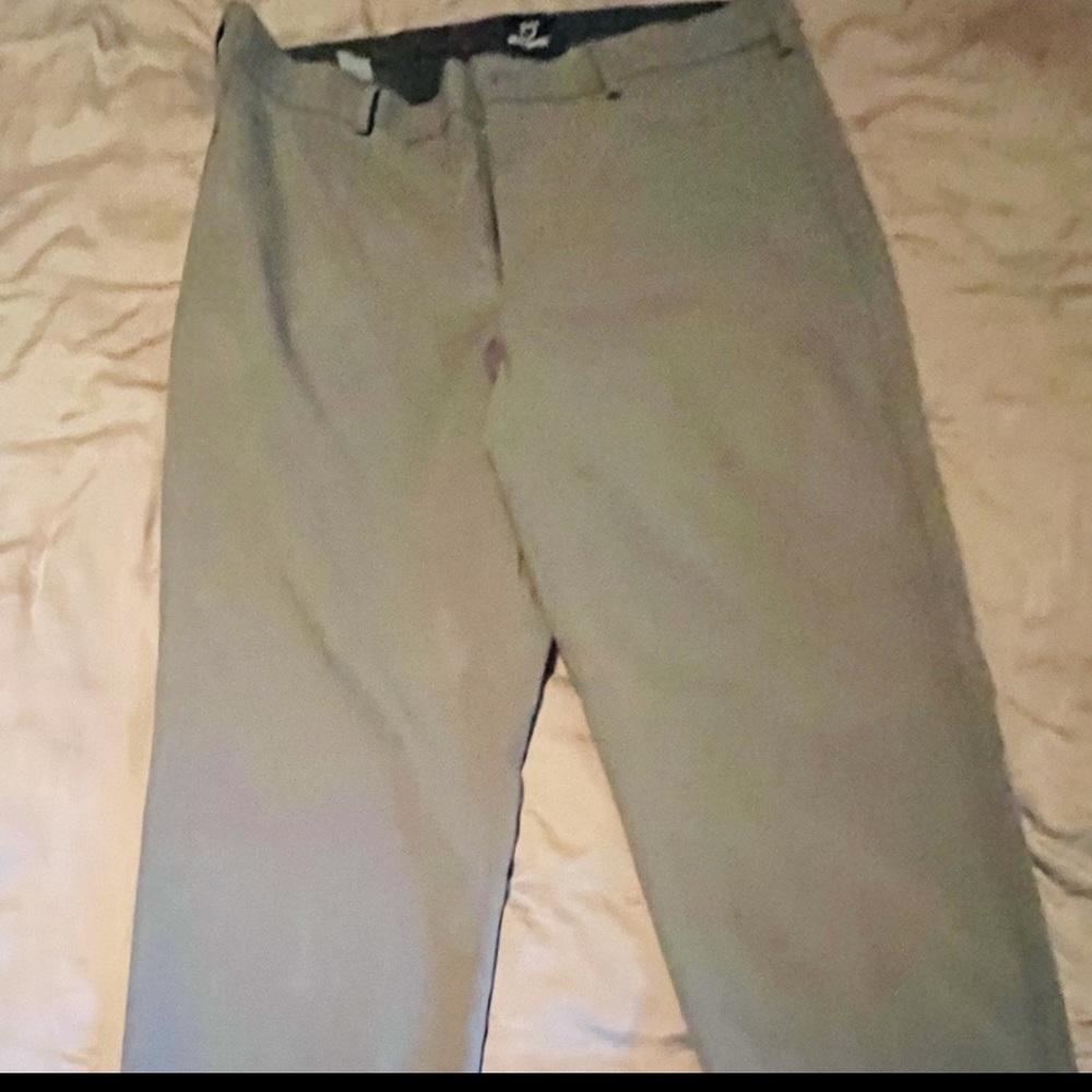 Scottevest slacks gray